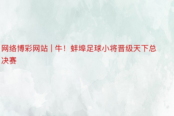 网络博彩网站 | 牛！蚌埠足球小将晋级天下总决赛