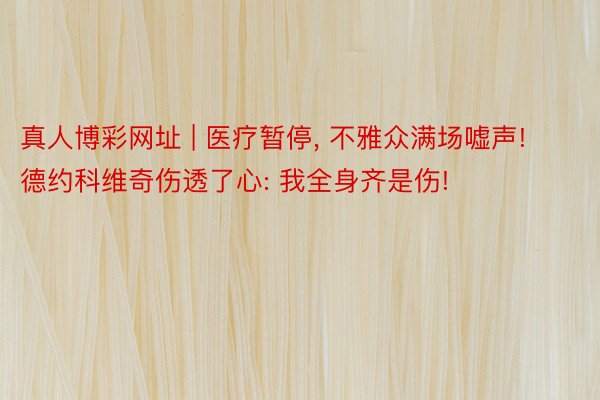 真人博彩网址 | 医疗暂停， 不雅众满场嘘声! 德约科维奇伤透了心: 我全身齐是伤!